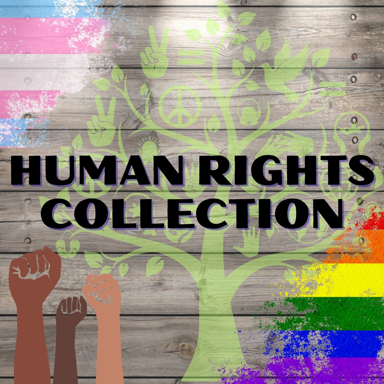 Human Rights
